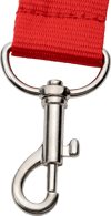 Carabiner Hook